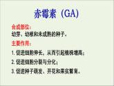 新人教版高中生物选择性必修1第5章植物生命活动的调节第2节其他植物激素课件