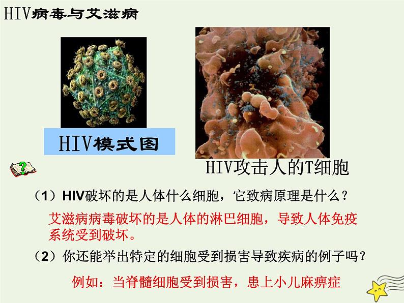 新人教版高中生物必修1第一单元细胞是生命活动的基本单位课件第4页