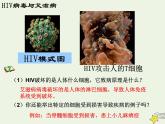 新人教版高中生物必修1第一单元细胞是生命活动的基本单位课件