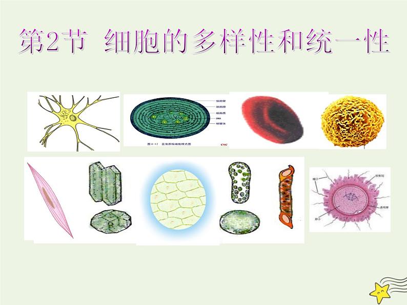 新人教版高中生物必修1第一单元细胞的多样性和统一性课件第1页