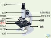 新人教版高中生物必修1第一单元细胞的多样性和统一性课件