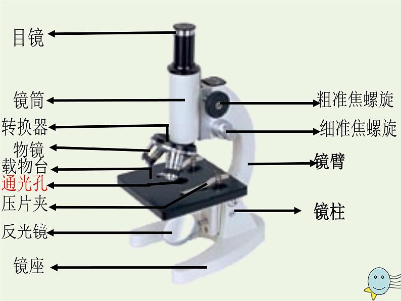 新人教版高中生物必修1第一单元细胞的多样性和统一性课件第4页