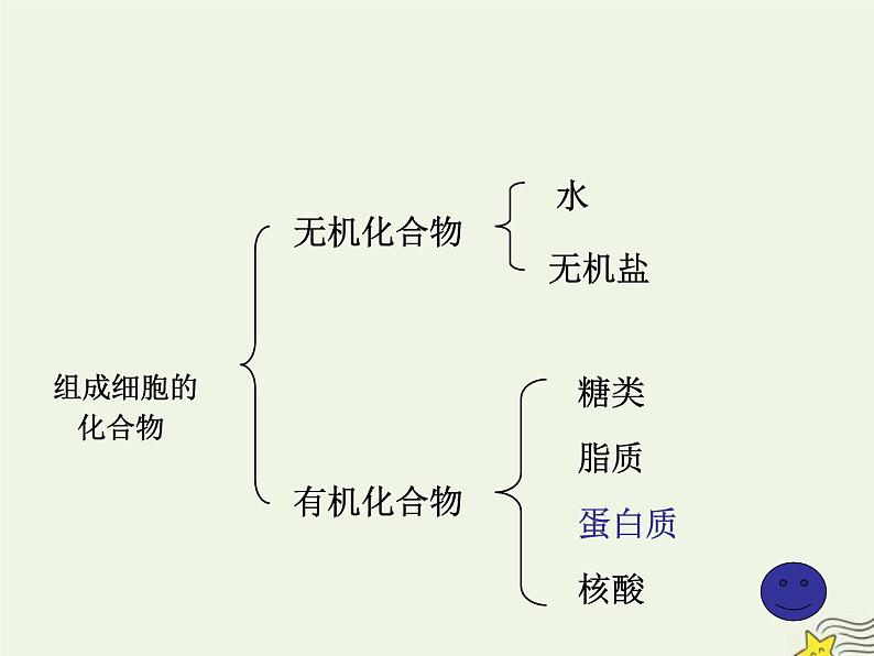 新人教版高中生物必修1第二单元蛋白质是生命活动的主要承担者课件第4页