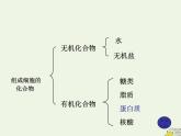 新人教版高中生物必修1第二单元蛋白质是生命活动的主要承担者课件