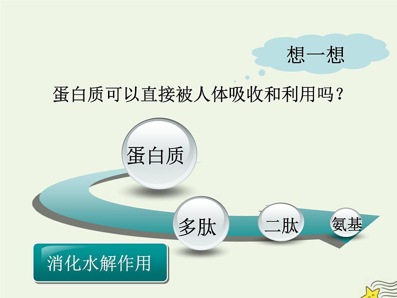 新人教版高中生物必修1第二单元蛋白质是生命活动的主要承担者课件第6页