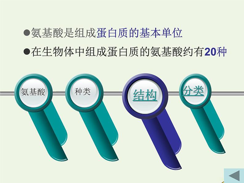 新人教版高中生物必修1第二单元蛋白质是生命活动的主要承担者课件第7页