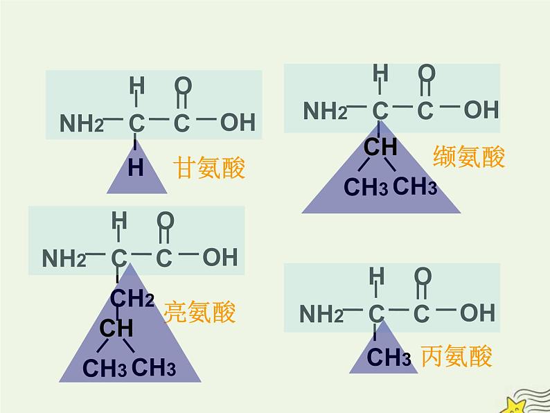 新人教版高中生物必修1第二单元蛋白质是生命活动的主要承担者课件第8页