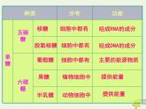 新人教版高中生物必修1第二单元细胞中的糖类和脂质课件