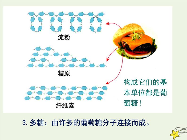 新人教版高中生物必修1第二单元细胞中的糖类和脂质课件第8页