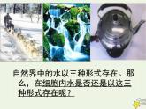 新人教版高中生物必修1第二单元细胞中的无机物课件