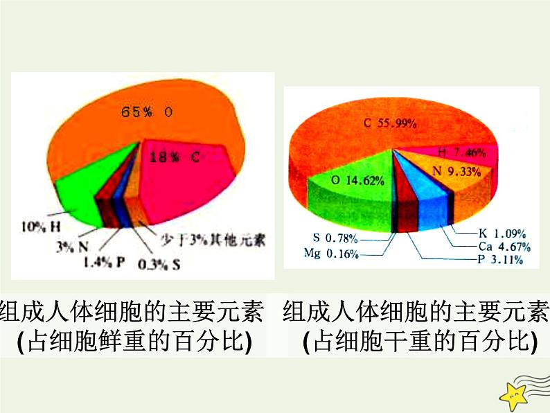 新人教版高中生物必修1第二单元细胞中的元素和化合物课件第5页