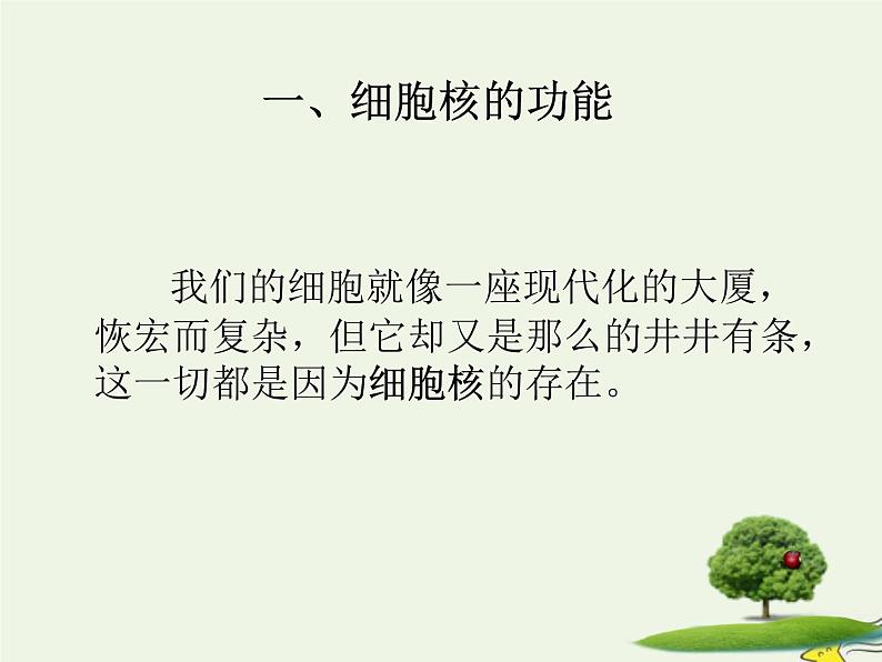 新人教版高中生物必修1第三单元细胞核的结构和功能课件第3页