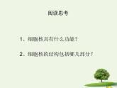 新人教版高中生物必修1第三单元细胞核的结构和功能课件