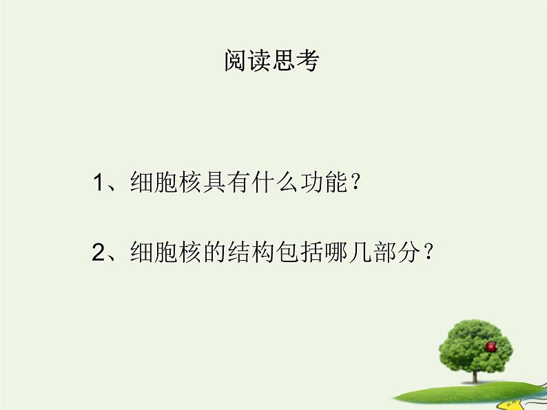 新人教版高中生物必修1第三单元细胞核的结构和功能课件第4页