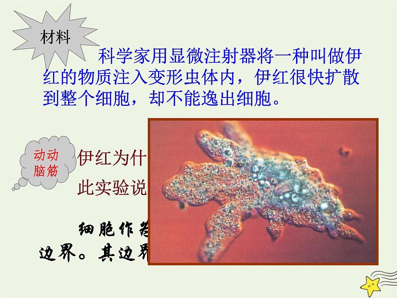 新人教版高中生物必修1第三单元细胞膜的结构和功能课件第4页