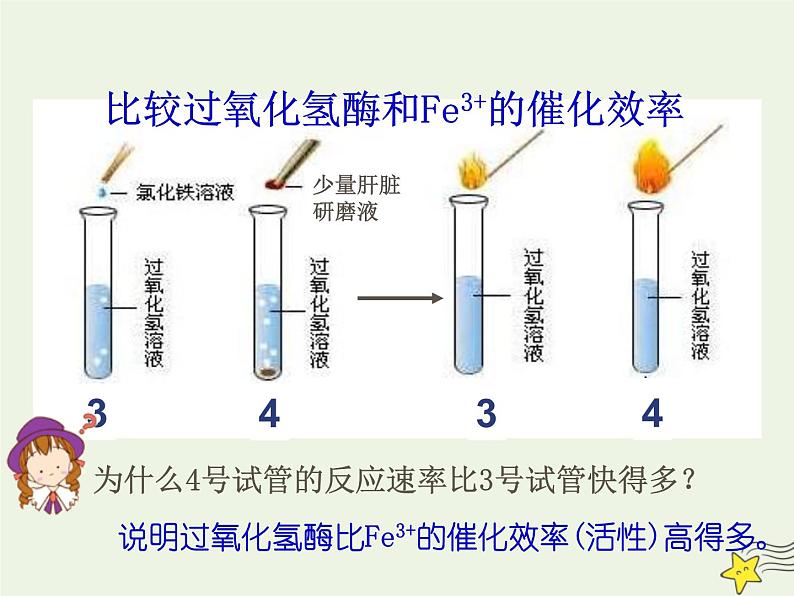 新人教版高中生物必修1第五单元酶的特性2课件第5页