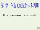 新人教版高中生物必修1第五单元细胞的能量“货币”ATP课件
