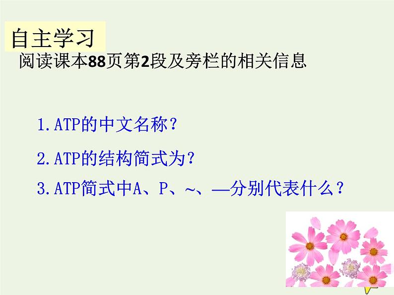 新人教版高中生物必修1第五单元细胞的能量“货币”ATP课件第2页