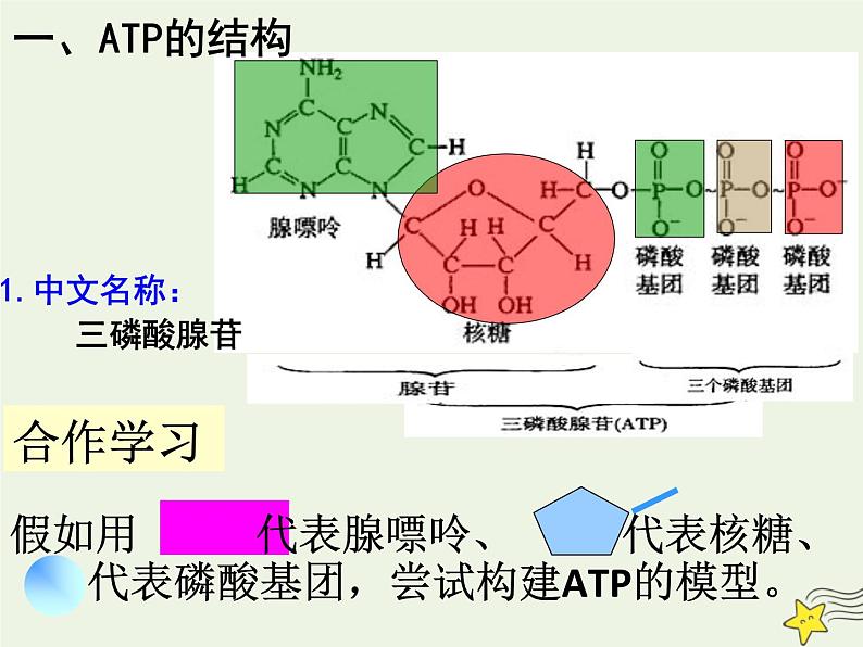 新人教版高中生物必修1第五单元细胞的能量“货币”ATP课件第3页