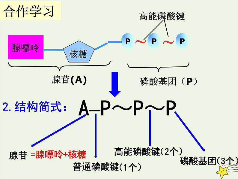 新人教版高中生物必修1第五单元细胞的能量“货币”ATP课件第4页