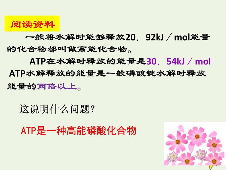 新人教版高中生物必修1第五单元细胞的能量“货币”ATP课件第5页