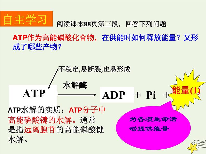 新人教版高中生物必修1第五单元细胞的能量“货币”ATP课件第6页