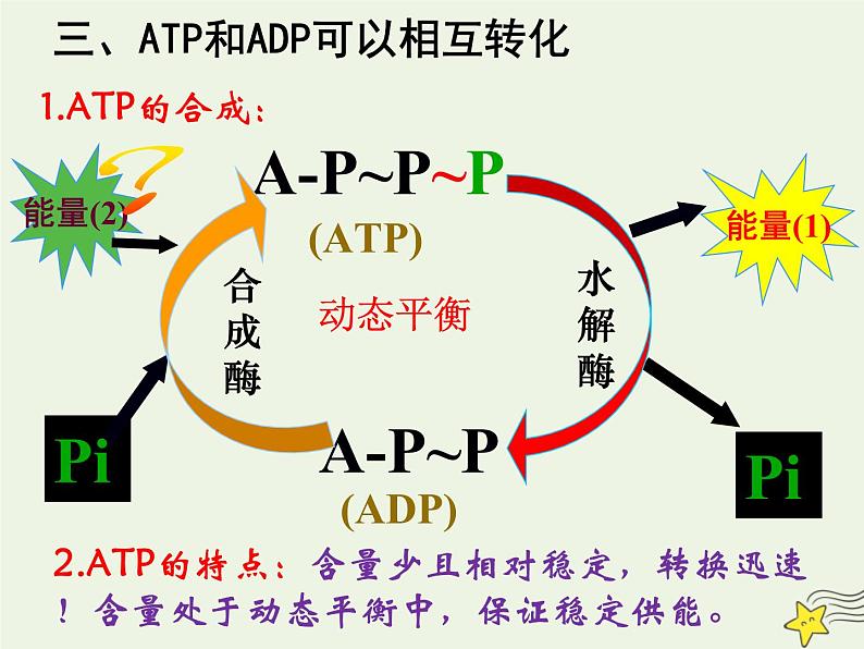 新人教版高中生物必修1第五单元细胞的能量“货币”ATP课件第8页