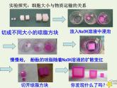 新人教版高中生物必修1第六单元细胞的增殖课件