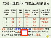 新人教版高中生物必修1第六单元细胞的增殖课件