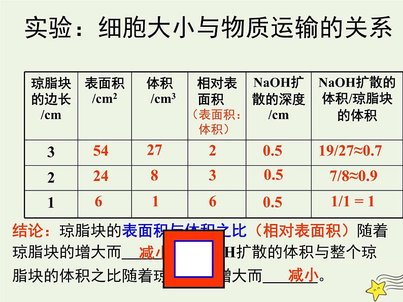 新人教版高中生物必修1第六单元细胞的增殖课件第5页