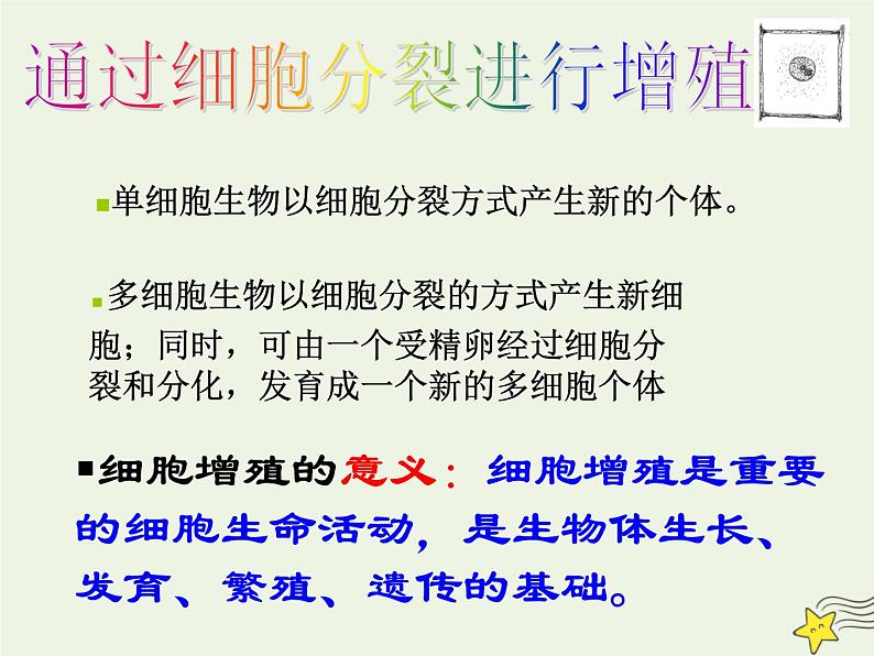 新人教版高中生物必修1第六单元细胞的增殖课件第8页