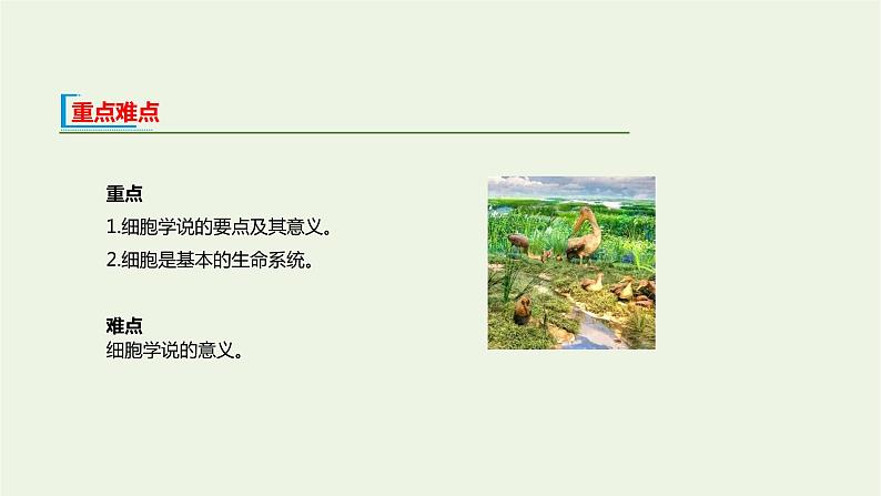 新人教版高中生物必修1第1章走近细胞第1节细胞是生命活动的基本单位课件03