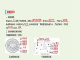 新人教版高中生物必修1第1章走近细胞第2节细胞的多样性和统一性课件