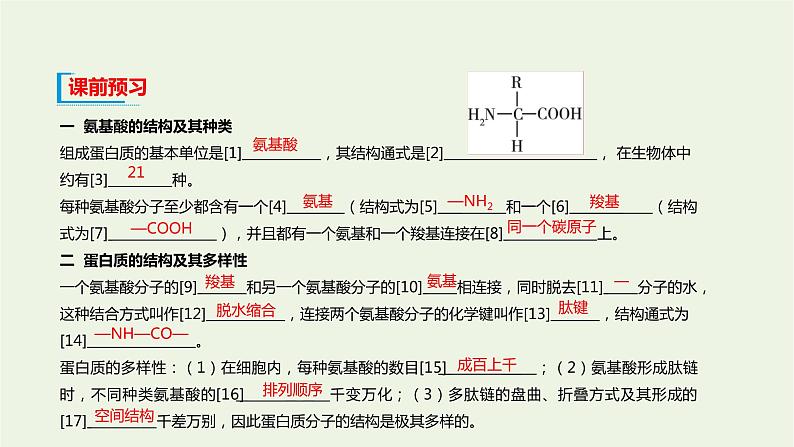 新人教版高中生物必修1第2章组成细胞的分子第4节蛋白质是生命活动的主要承担者课件04