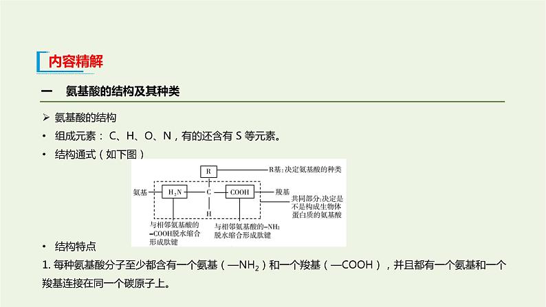 新人教版高中生物必修1第2章组成细胞的分子第4节蛋白质是生命活动的主要承担者课件07