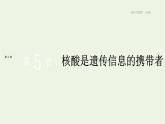 新人教版高中生物必修1第2章组成细胞的分子第5节核酸是遗传信息的携带者课件