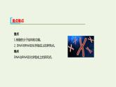 新人教版高中生物必修1第2章组成细胞的分子第5节核酸是遗传信息的携带者课件