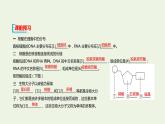 新人教版高中生物必修1第2章组成细胞的分子第5节核酸是遗传信息的携带者课件