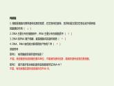 新人教版高中生物必修1第2章组成细胞的分子第5节核酸是遗传信息的携带者课件