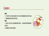 新人教版高中生物必修1第3章细胞的基本结构第2节细胞器之间的分工合作课件