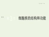 新人教版高中生物必修1第3章细胞的基本结构第3节细胞核的结构和功能课件