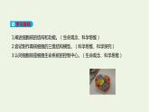 新人教版高中生物必修1第3章细胞的基本结构第3节细胞核的结构和功能课件