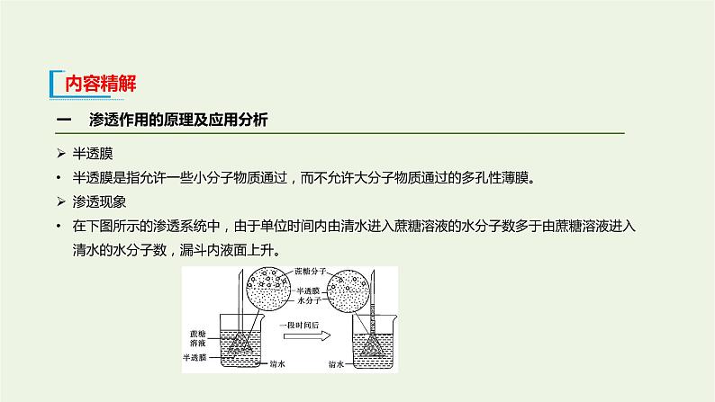 新人教版高中生物必修1第4章细胞的物质输入和输出第1节被动运输课件06