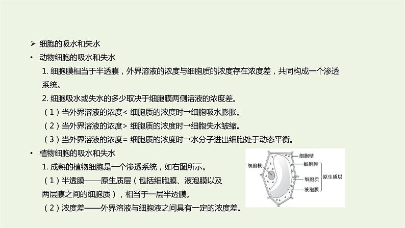 新人教版高中生物必修1第4章细胞的物质输入和输出第1节被动运输课件08