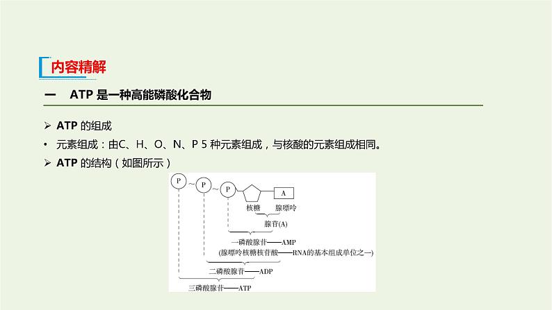 新人教版高中生物必修1第5章细胞的能量供应和利用第2节细胞的能量“货币”ATP课件06