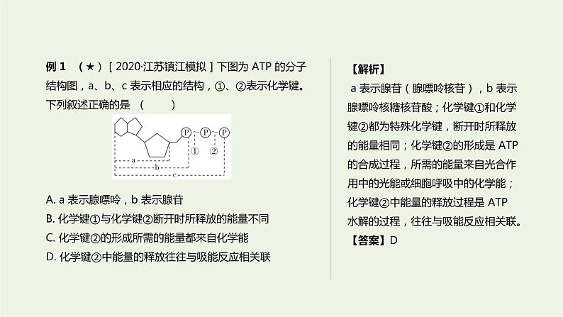 新人教版高中生物必修1第5章细胞的能量供应和利用第2节细胞的能量“货币”ATP课件08