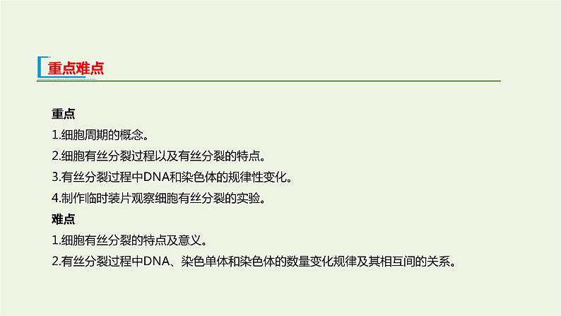 新人教版高中生物必修1第6章细胞的生命历程第1节细胞的增殖课件03