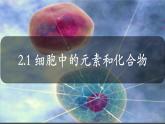 2.1细胞中的元素和化合物课件2022-2023学年高一上学期生物人教版必修1