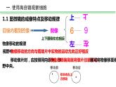 1.2细胞的多样性和统一性课件2022-2023学年高一上学期生物人教版必修1