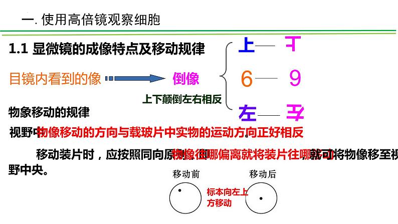 1.2细胞的多样性和统一性课件2022-2023学年高一上学期生物人教版必修105